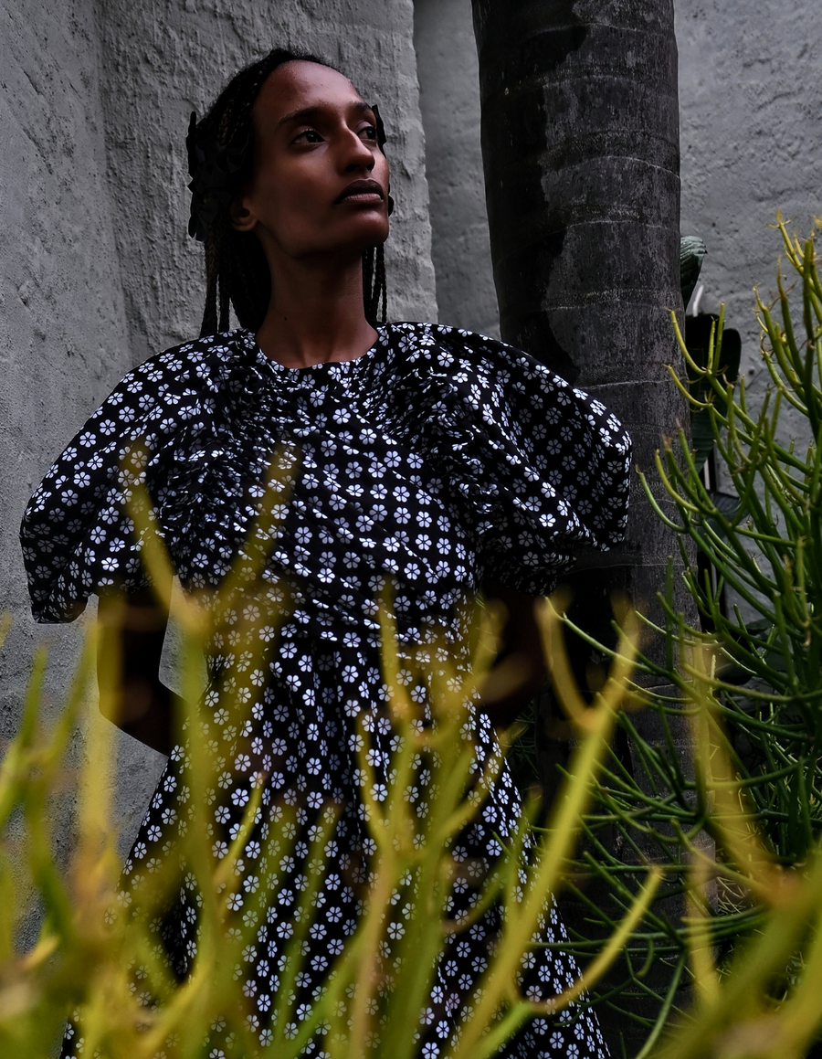 Taiya Dress