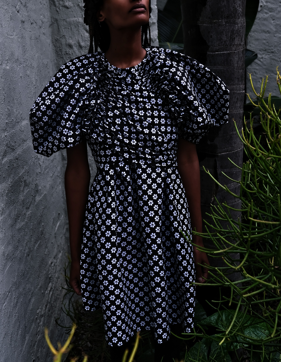 Taiya Dress